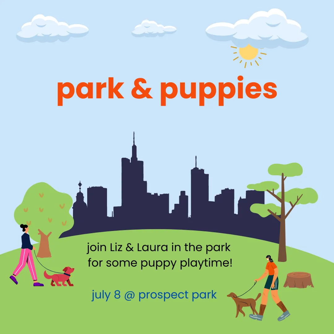 park & puppies – tangerine meetup