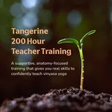 🍊 Thinking about teaching yoga?