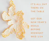 🍊 No Longer New Year's: Our Sale Ends 1/14