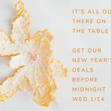 🍊 No Longer New Year's: Our Sale Ends 1/14
