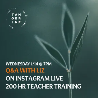 2026 Teacher Training Q&A at Tangerine Yoga in Brooklyn