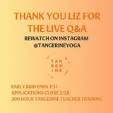 🍊 Liz's Q&A, recent playlists, upcoming Theme Classes