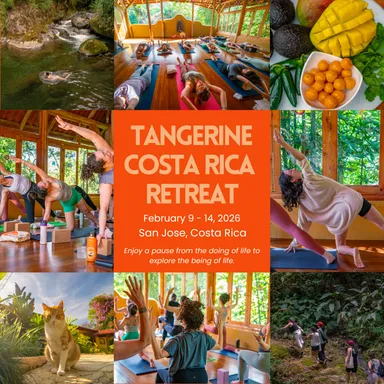 Costa Rica Retreat February 2026 at Tangerine Yoga in Brooklyn