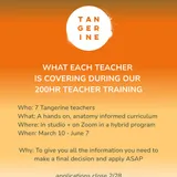 🍊 Returning from Costa Rica