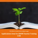 🧡 Final call to join our Yoga Teacher Training!