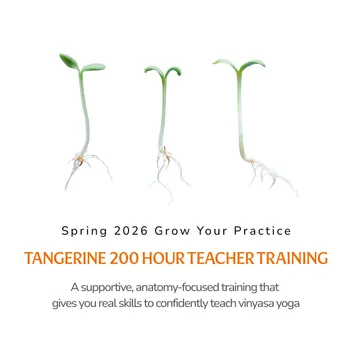 200-Hour Spring 2026 Yoga Teacher Training