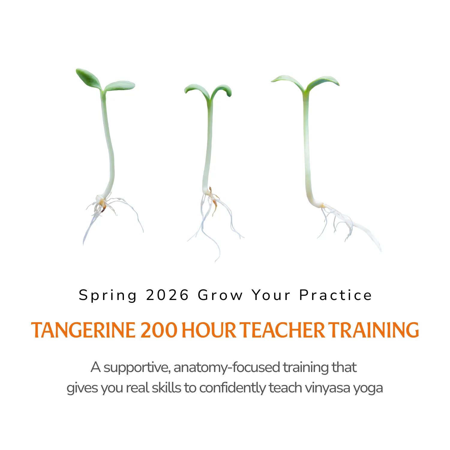 200-Hour Spring 2026 Yoga Teacher Training