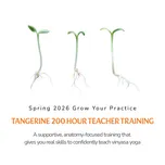 200-Hour Spring 2026 Yoga Teacher Training at Tangerine Yoga in Brooklyn