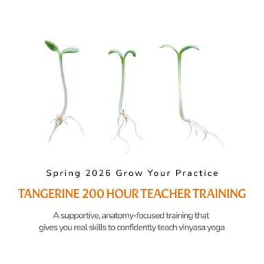 200-Hour Spring 2026 Yoga Teacher Training at Tangerine Yoga in Brooklyn