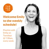 🍊 Have you met Emily?