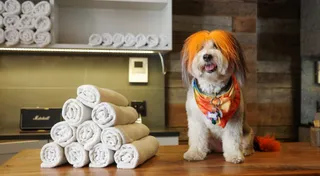 Practice Without the Baggage