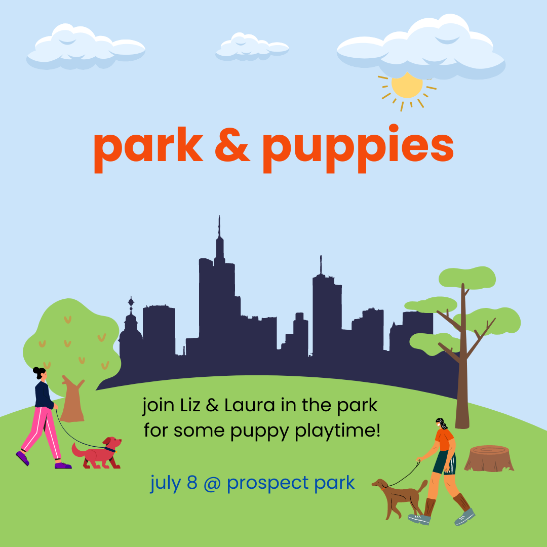 park & puppies – tangerine meetup