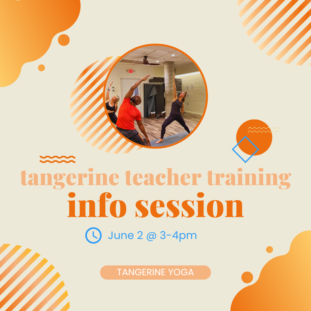 teacher training info session